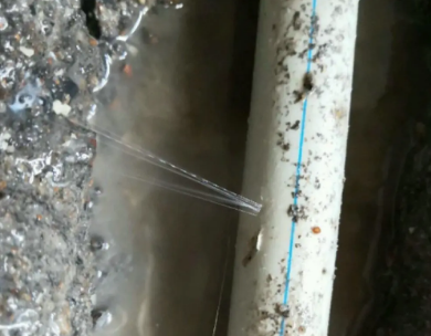 齐河测漏水哪家好