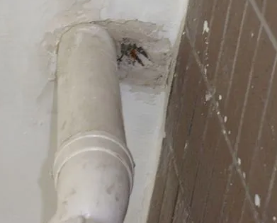 齐河漏水检测哪家好